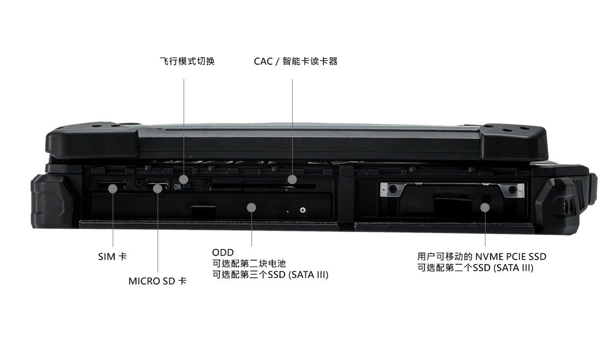 z14i Anatomy-left-cn