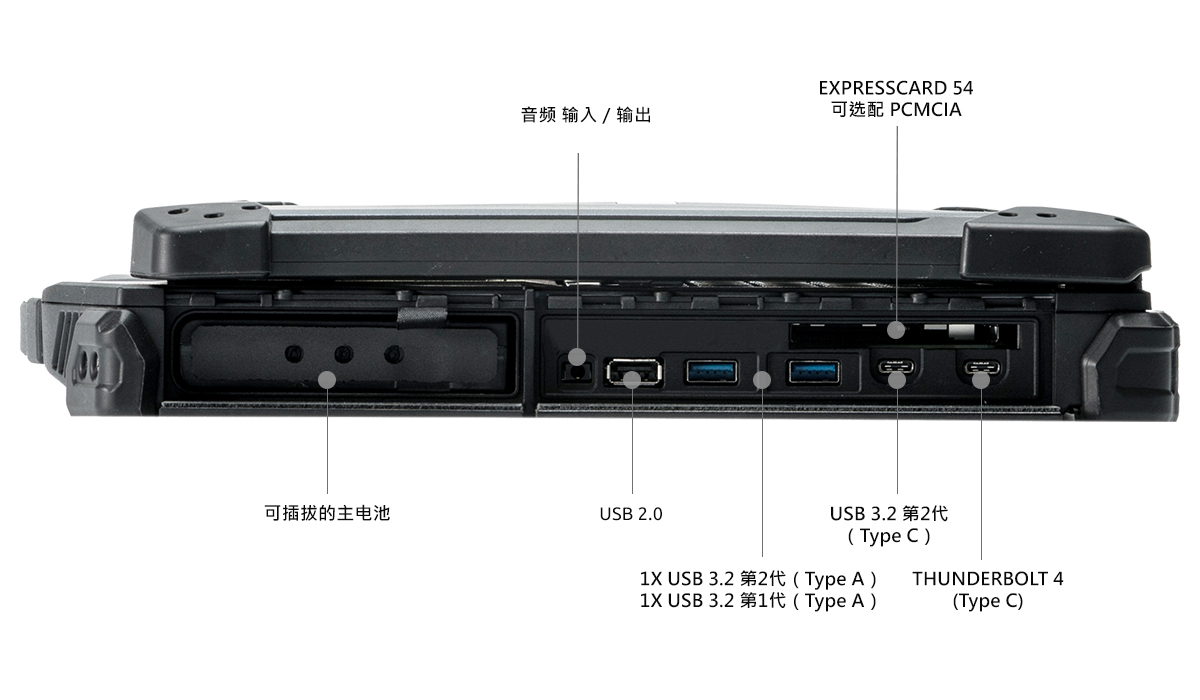 z14i Anatomy-right-cn